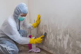 Best Industrial Mold Remediation in Endicott, NY